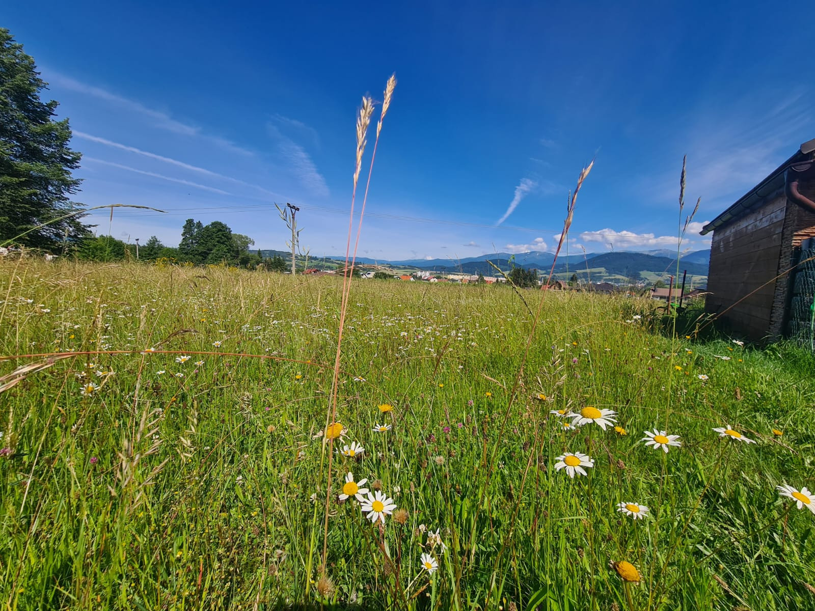 Stavebné pozemky s výhľadom na Nízke Tatry – Brezno (805 m² a 950 m²)