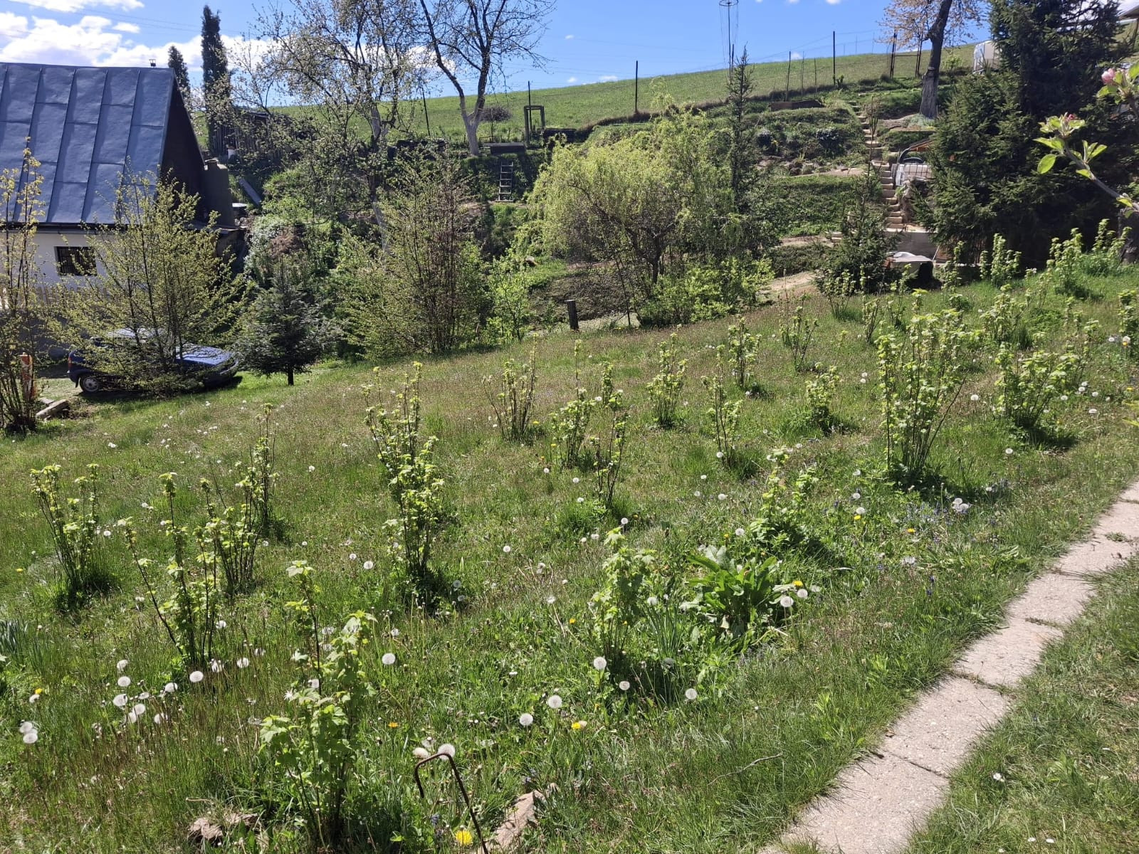 Váš vlastný kúsok pokoja nad Breznom: Pozemok v lokalite Kuľbová (355 m²)