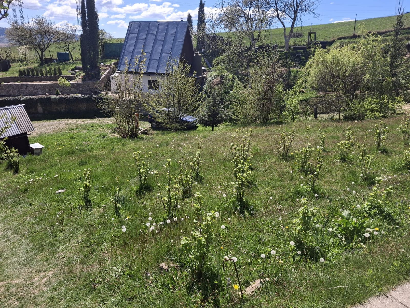 Váš vlastný kúsok pokoja nad Breznom: Pozemok v lokalite Kuľbová (355 m²)