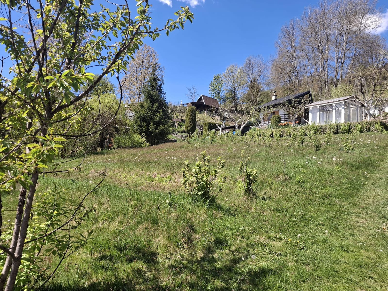Váš vlastný kúsok pokoja nad Breznom: Pozemok v lokalite Kuľbová (355 m²)