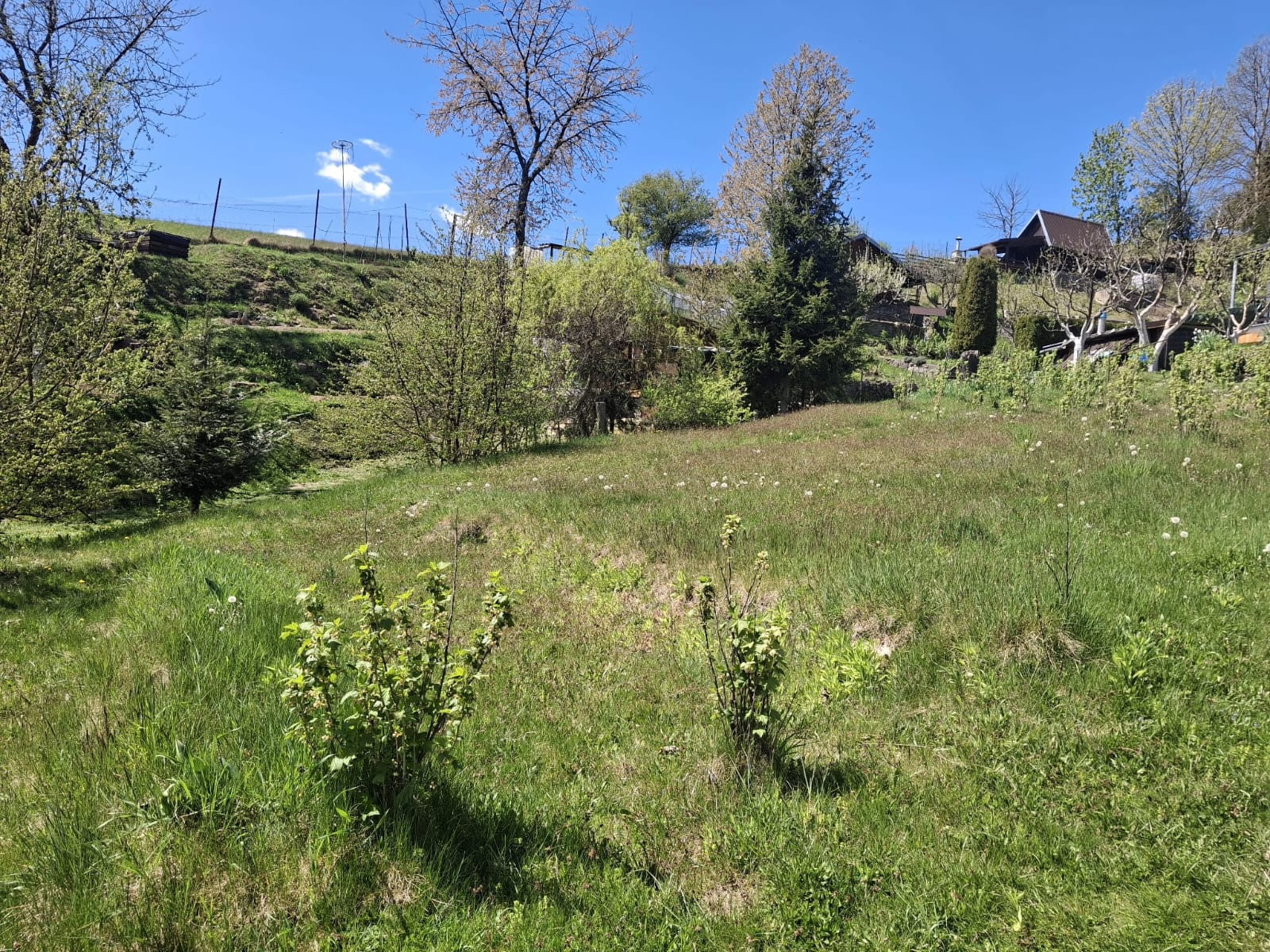 Váš vlastný kúsok pokoja nad Breznom: Pozemok v lokalite Kuľbová (355 m²)