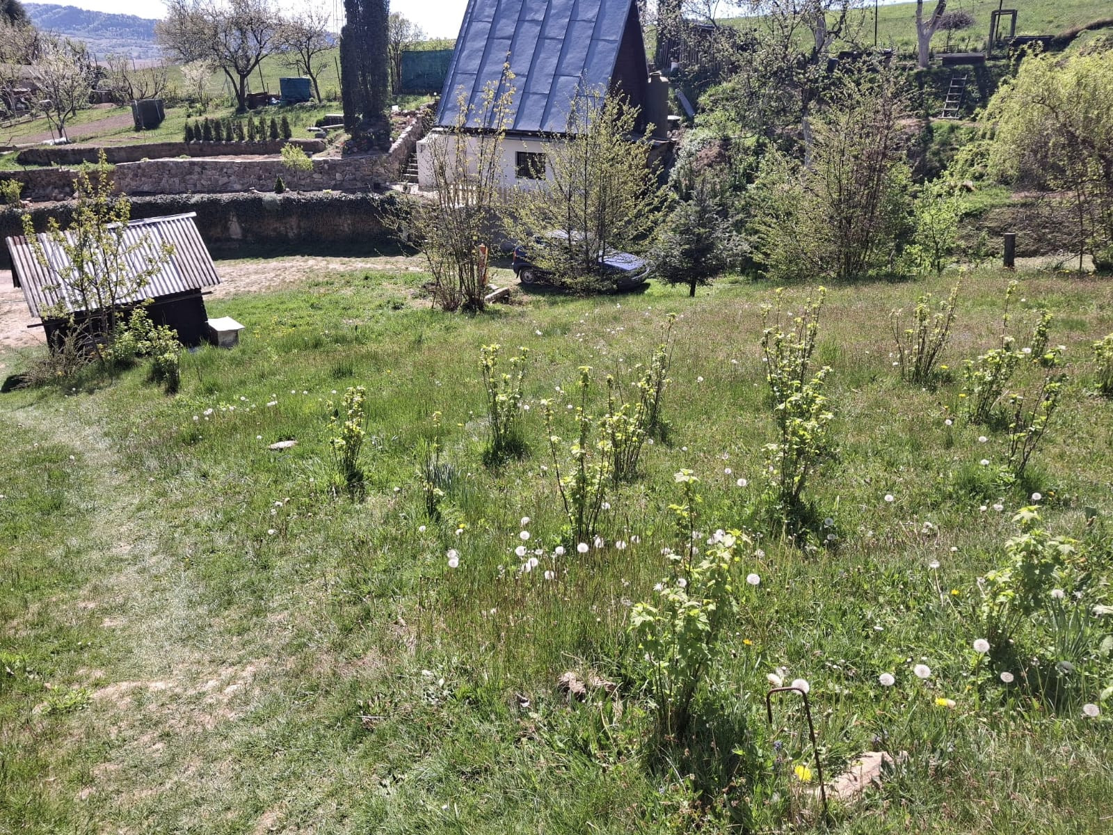 Váš vlastný kúsok pokoja nad Breznom: Pozemok v lokalite Kuľbová (355 m²)