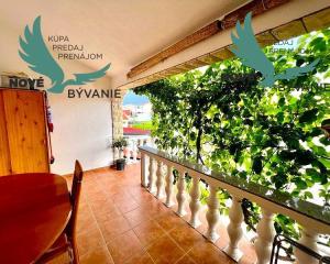 Predaj dom len 60m od mora s výhľadom na more v Chorvátsku