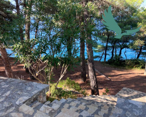 Exkluzívne vila na ostrove Ugljan, Kukljica – Prvý rad pri mori!