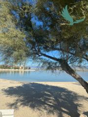 Chorvátsko, ostrov Vir - Na predaj útulný trojizbový apartmán len 30m od mora!