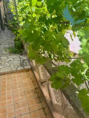 Chorvátsko - Exkluzívne na predaj domček len 100m od mora jedinečná ivestícia