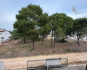 Chorvátsko - Apartmán s dvorom len 300m od mora na ostrove Vir