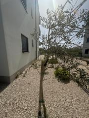 Chorvátsko - Zariadená novostavba so záhradou len 90m od pláže v Privlake