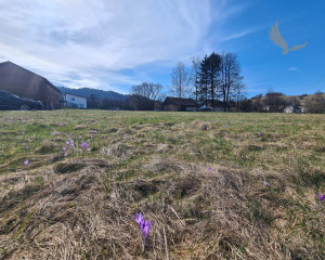 Pozemok v Brezne - Rovne ideálny pozemok pre Váš vysnený dom