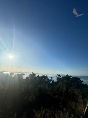 Chorvátsko - Novostavba zariadeného apartmánu s bazénom na strešnej terase a krásnym výhľadom na more len 30m od mora