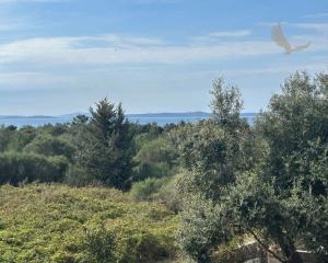 Chorvátsko , ostrov Vir - Na predaj útulný trojizbový apartmán