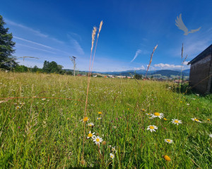 Stavebné pozemky s výhľadom na Nízke Tatry – Brezno (805 m² a 950 m²)