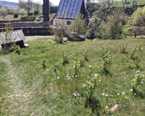 Váš vlastný kúsok pokoja nad Breznom: Pozemok v lokalite Kuľbová (355 m²)