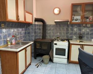 Priestranný rodinný dom s veľkou záhradou - Lopej