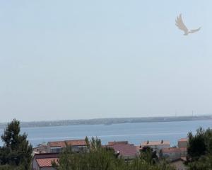 Chorvátsko - Novostavba apartmánu v centre ostrova Vir s výhľadom na more
