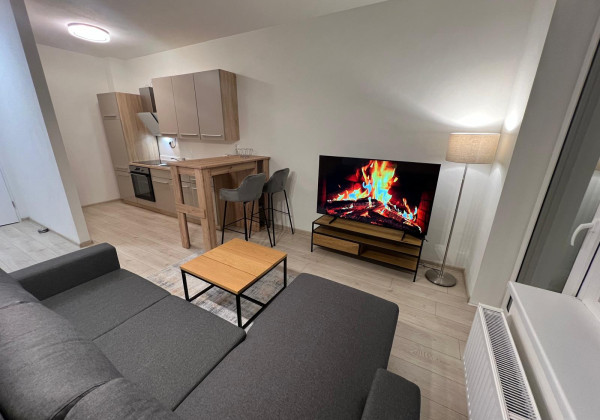 Krásny byt na prenájom 1KK, kompletne vybavený - Kasárne