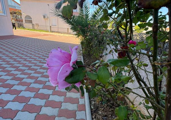 CHORVÁTSKO - EXKLUZÍVNE NA PREDAJ 4-IZBOVÝ APARTMÁN S VÝHĽADOM NA MORE, OSTROV VIR