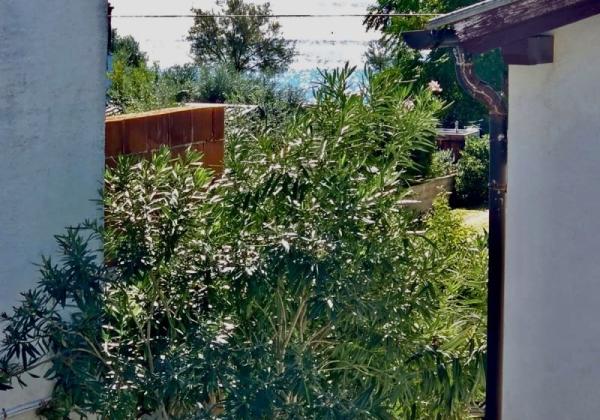 Chorvátsko- Dom s výhľadom na more blízko pláže na ostrove Vir