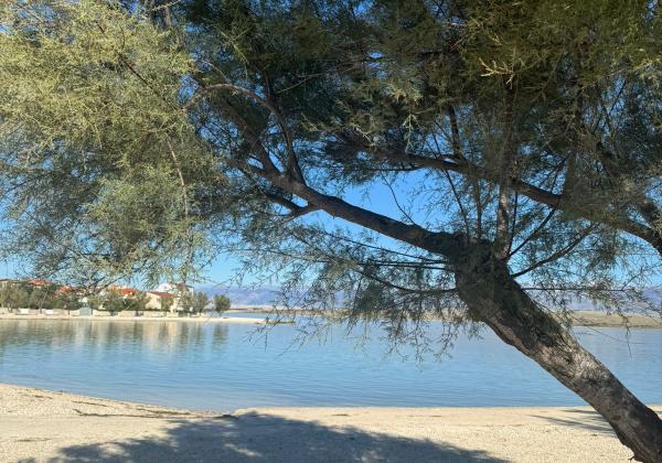 Chorvátsko, ostrov Vir - Na predaj útulný trojizbový apartmán len 30m od mora!