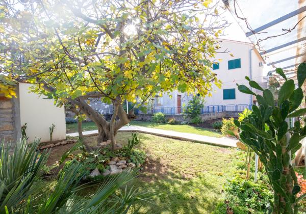 Chorvátsko, ostrov Murter - Exluzívne na predaj prízemný rodinný dom pri pláži