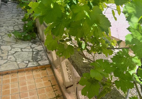 Chorvátsko - Exkluzívne na predaj domček len 100m od mora jedinečná ivestícia