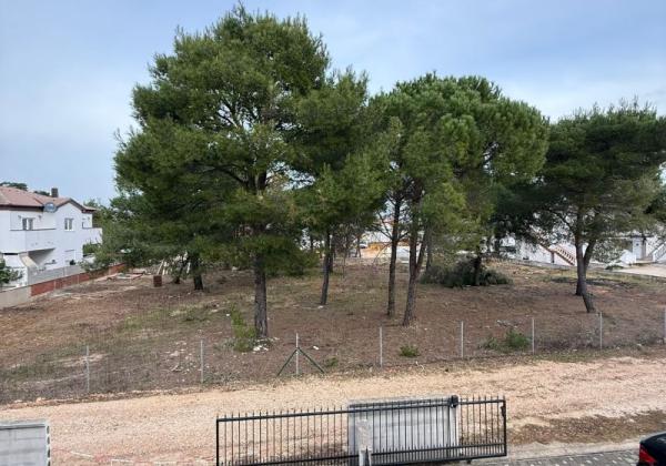 Chorvátsko - Apartmán s dvorom len 300m od mora na ostrove Vir