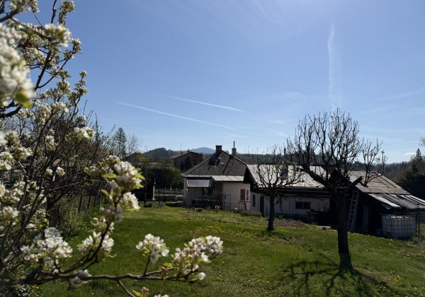 Šikovný domček s veľkou záhradou Brezno časť Zadné Halny