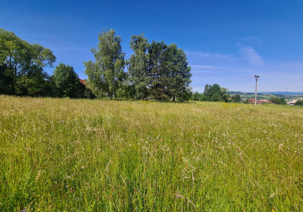 Stavebné pozemky s výhľadom na Nízke Tatry – Brezno (805 m² a 950 m²)