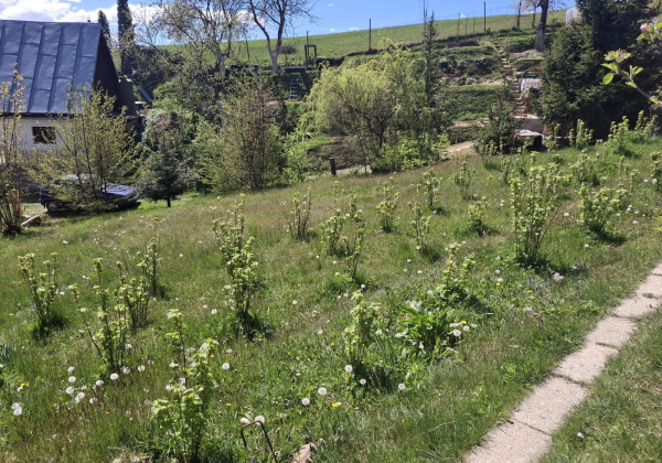Váš vlastný kúsok pokoja nad Breznom: Pozemok v lokalite Kuľbová (355 m²)