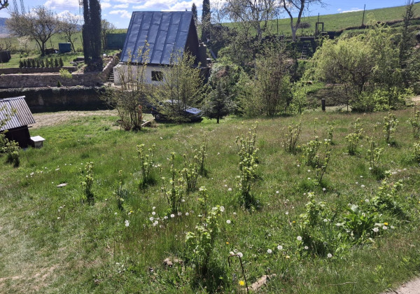 Váš vlastný kúsok pokoja nad Breznom: Pozemok v lokalite Kuľbová (355 m²)