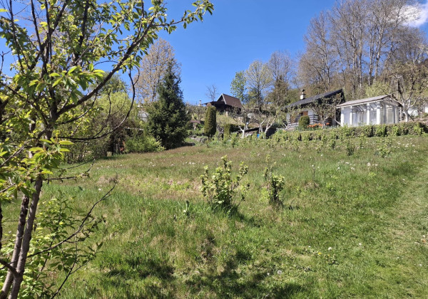 Váš vlastný kúsok pokoja nad Breznom: Pozemok v lokalite Kuľbová (355 m²)