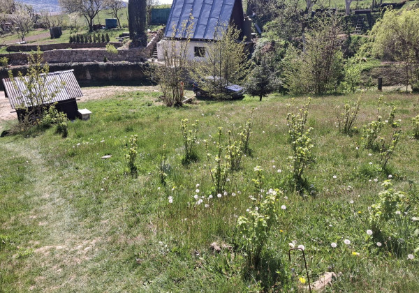 Váš vlastný kúsok pokoja nad Breznom: Pozemok v lokalite Kuľbová (355 m²)