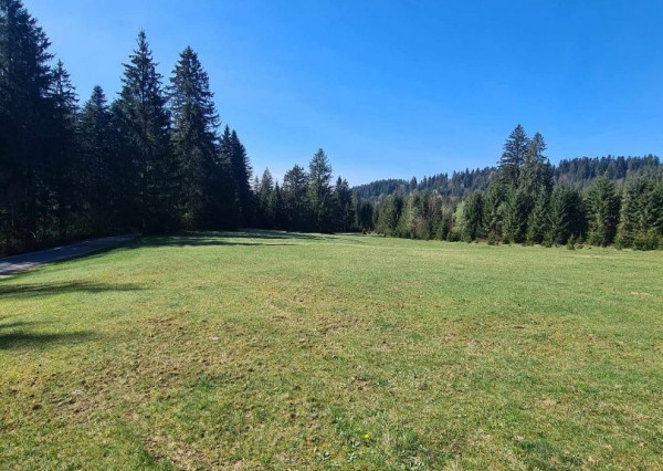 Unikátna príležitosť na Krpáčove - Krásna vila v predaji