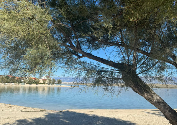 Chorvátsko, ostrov Vir - Na predaj útulný trojizbový apartmán len 30m od mora!