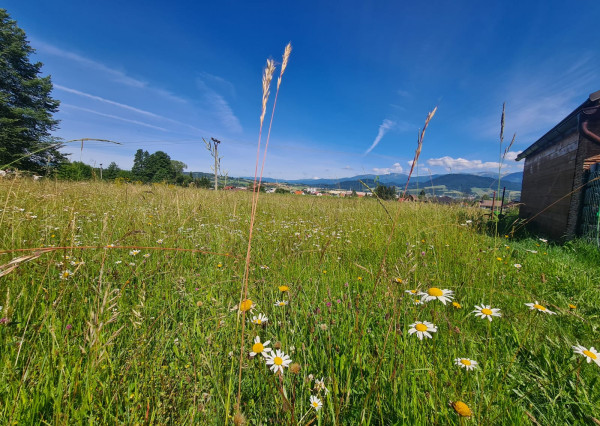Stavebné pozemky s výhľadom na Nízke Tatry – Brezno (805 m² a 950 m²)